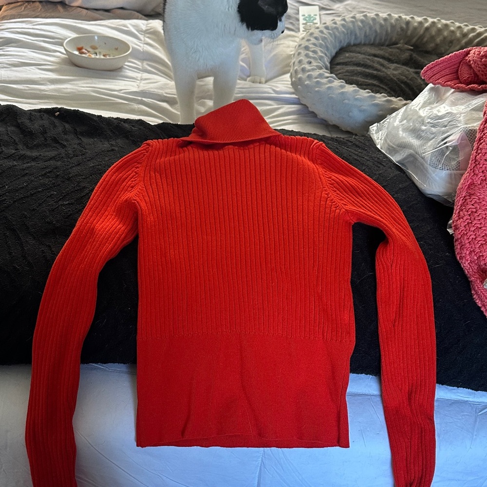 Zara Red Ribbed Turtleneck Sweater